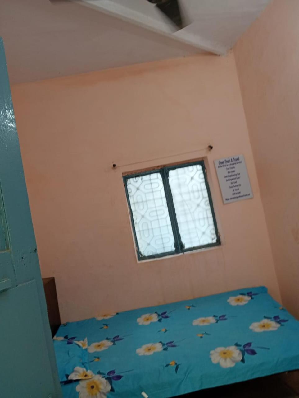 Ever Green Guest House Travel & Pg New Delhi Bagian luar foto