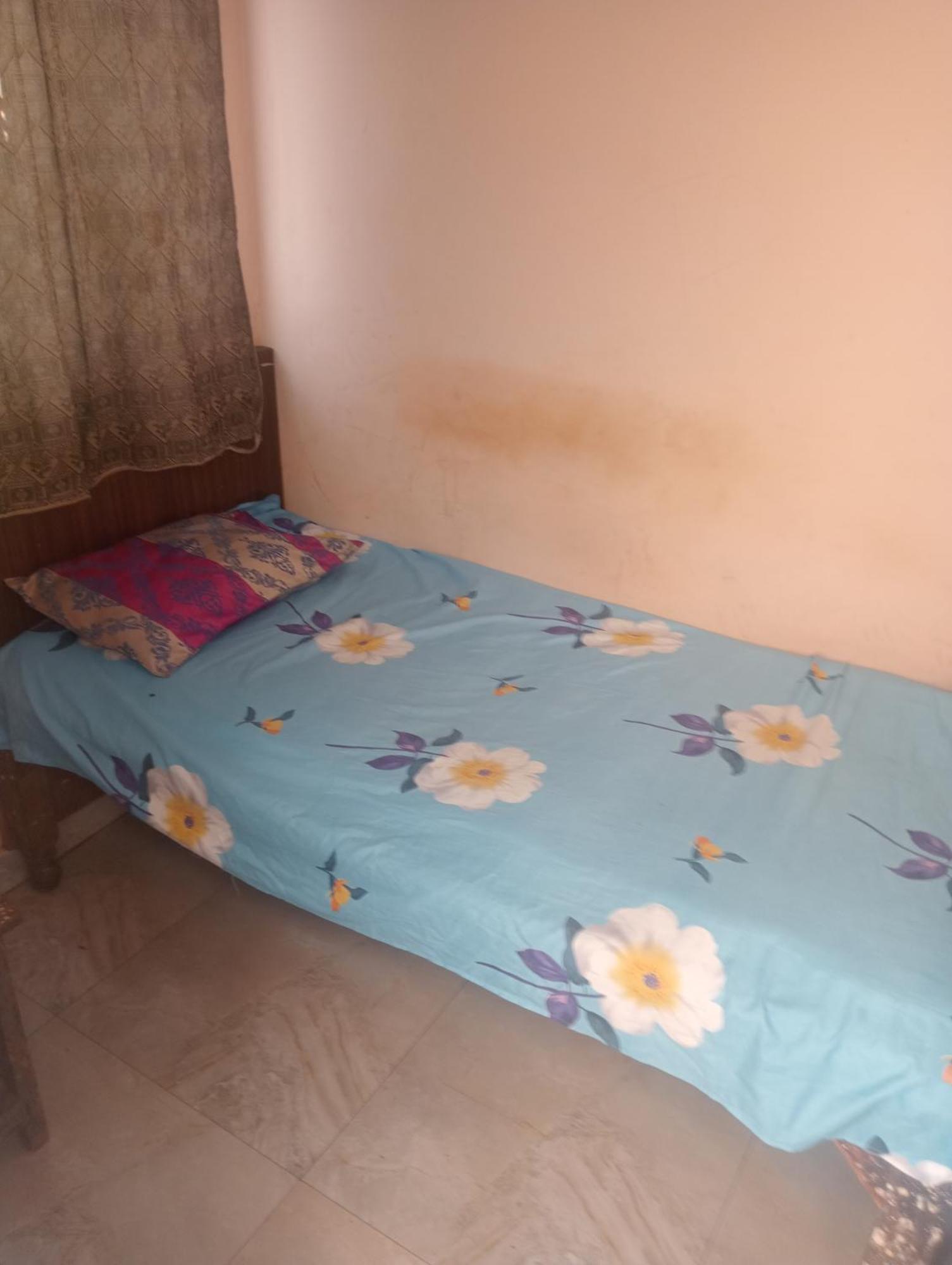 Ever Green Guest House Travel & Pg New Delhi Bagian luar foto