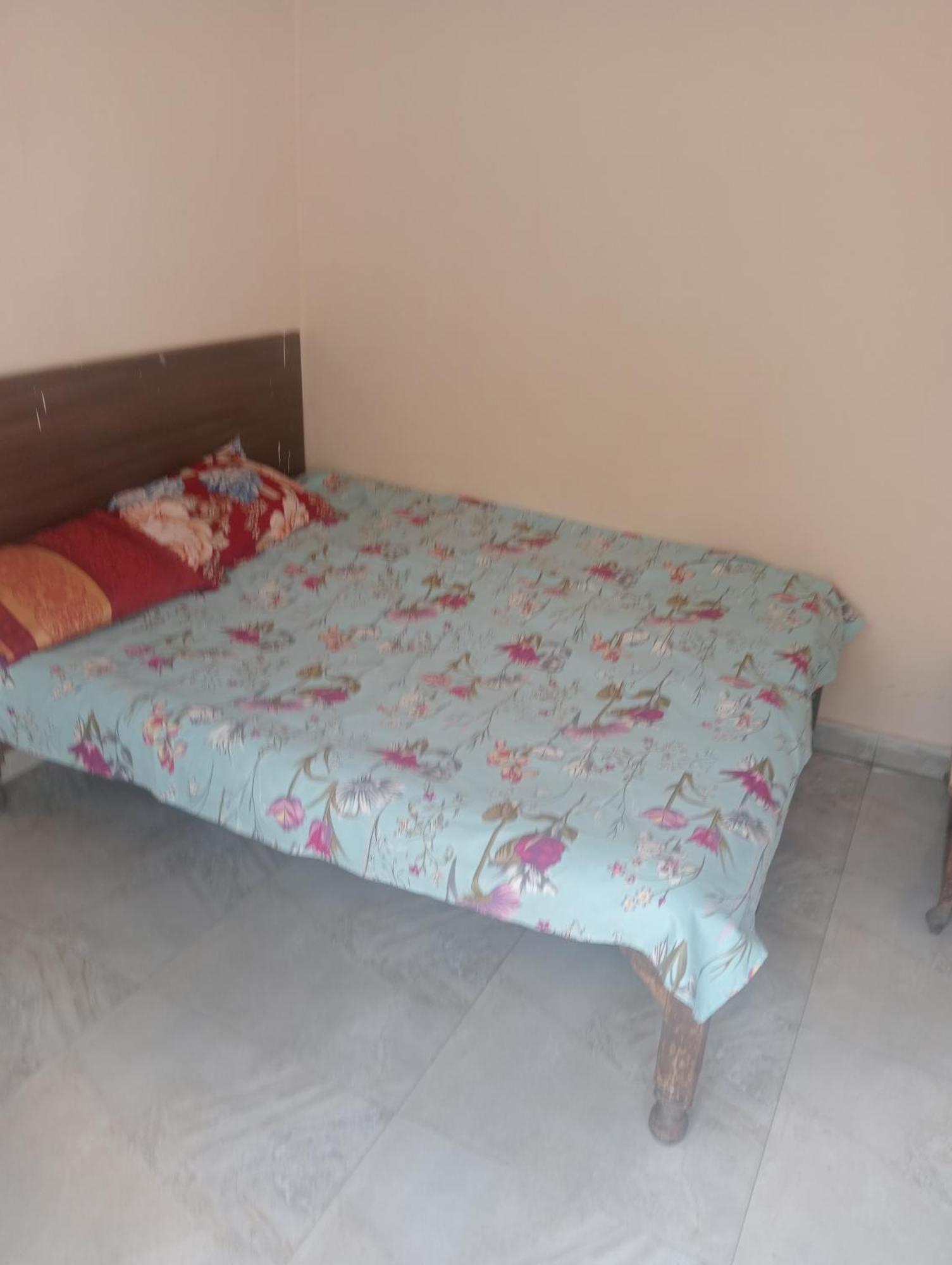 Ever Green Guest House Travel & Pg New Delhi Bagian luar foto