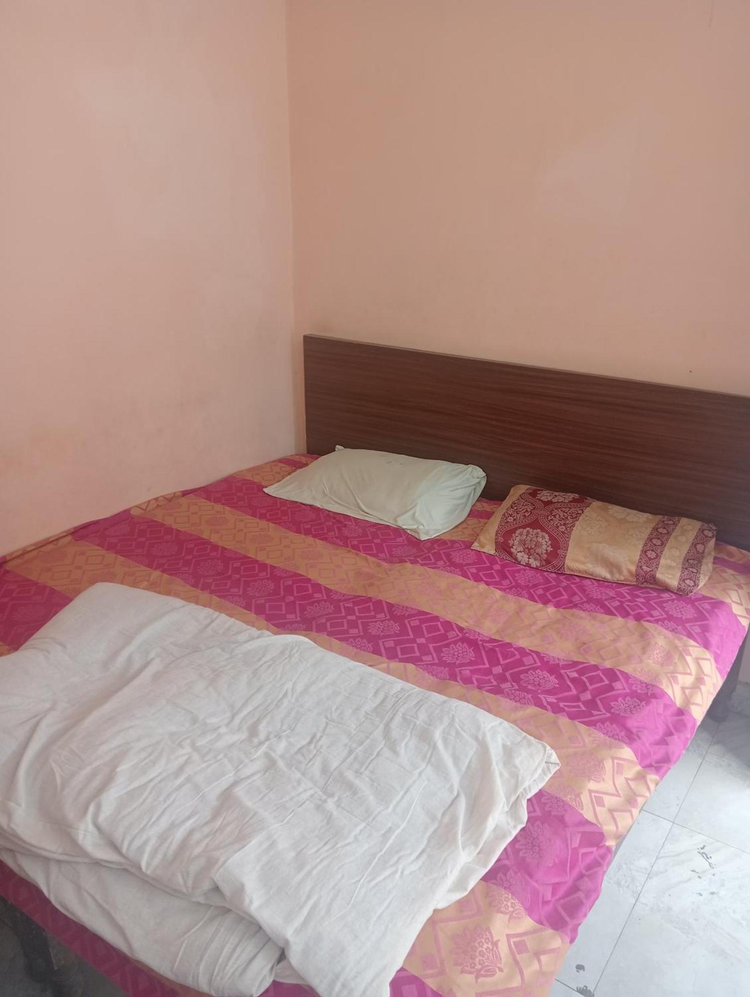Ever Green Guest House Travel & Pg New Delhi Bagian luar foto